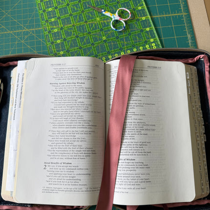 Bible Bag