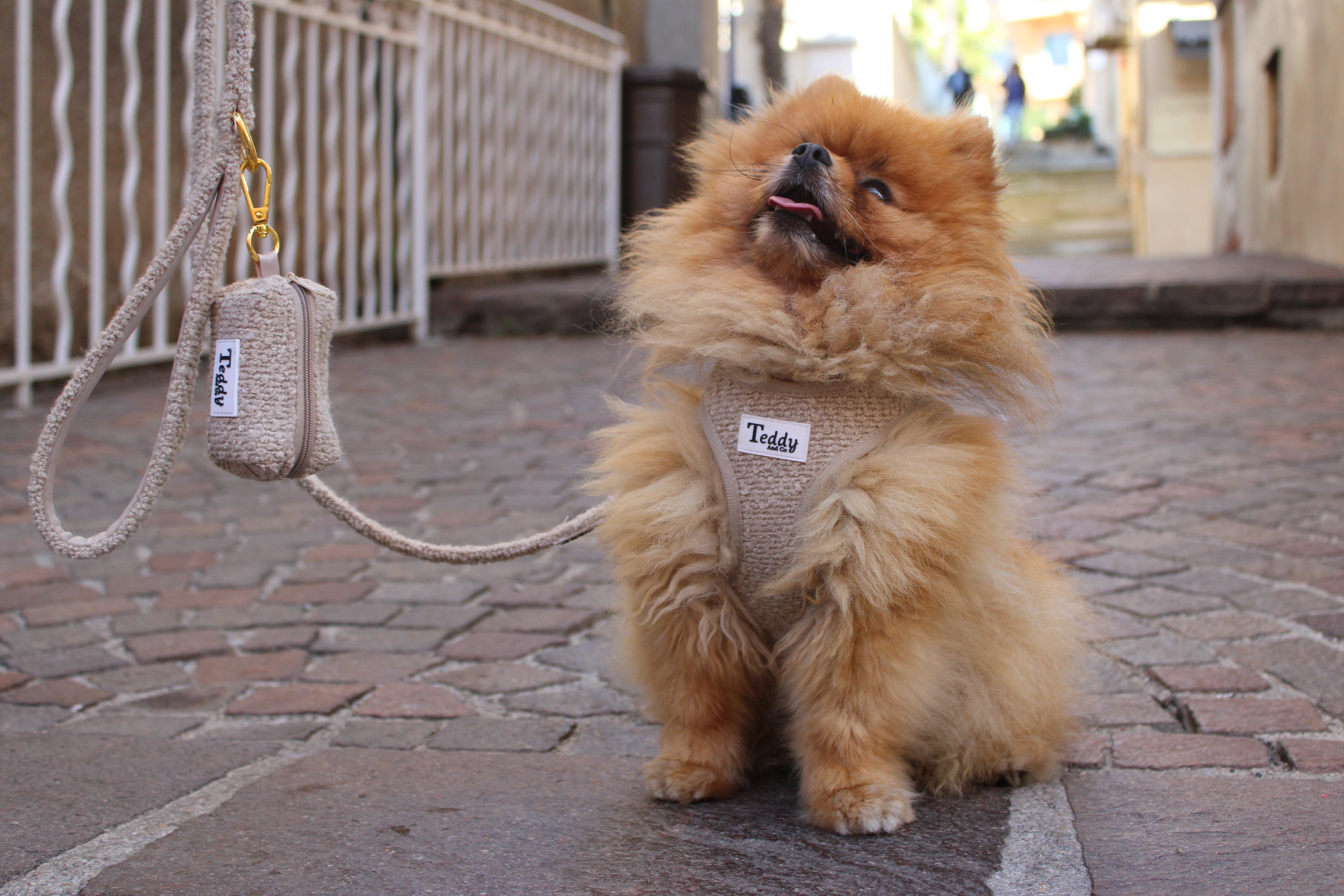 Custom Embroidered Sweatshirt